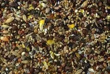 Turteltaubenfutter 1 KG